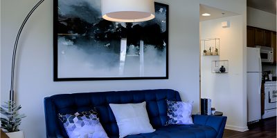 Living Room with Navy Blue Sofas