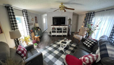 Single Wide Mobile Home Living Room Remodel Ideas - Color Palette