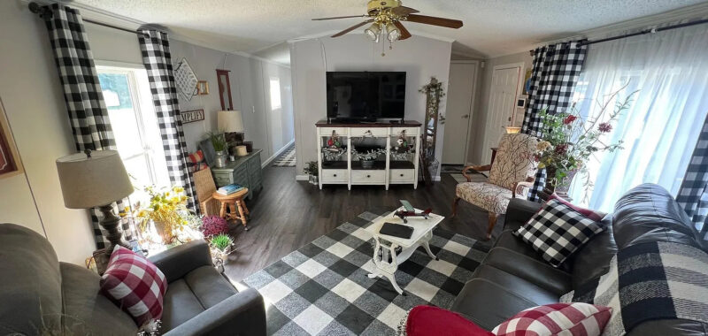 13 Single Wide Mobile Home Living Room Remodel Ideas